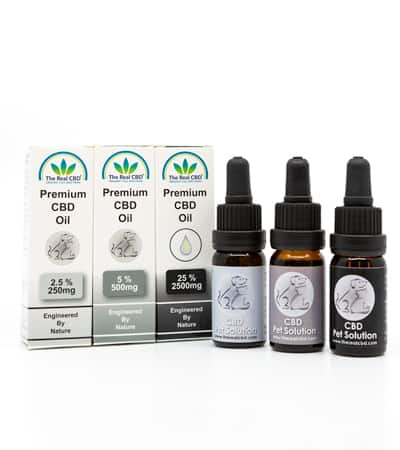 3 CBD Öle und Boxen für Haustiere - The Real CBD Brand