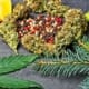 Lemons, Hemp leaves, pine on display