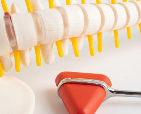 plastic spine on a table
